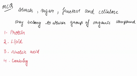 question-9-starch-sugar-fructose-and-cellulose-are-all-examples-of-which-group-of-organic-molecules-group-of-answer-choices-1-protein-2-lipid-3-nucleic-acids-4-carbohydrates-03054