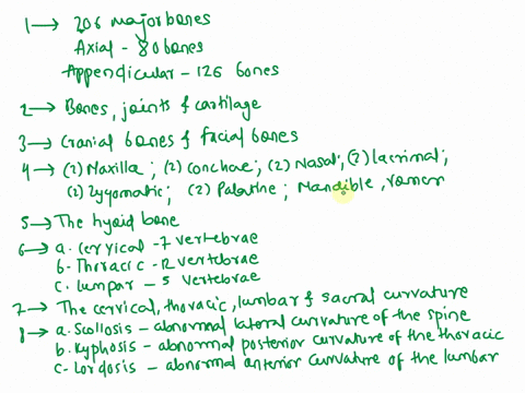 petersonhscl-2o10-chapter-7-study-guide-questions-1-the-adult-skeleton-contains-major-bones-aaxial-bappendicular-2what-are-the-components-of-the-skeletal-system-a-b-3-what-are-the-two-divisi-03322