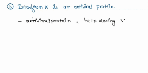 which-of-the-following-statements-is-true-interferon-acts-against-specific-viruses-interferon-is-an-antiviral-protein-interferon-a-causes-cell-lysis-interferon-a-promotes-phagocytosis-45187