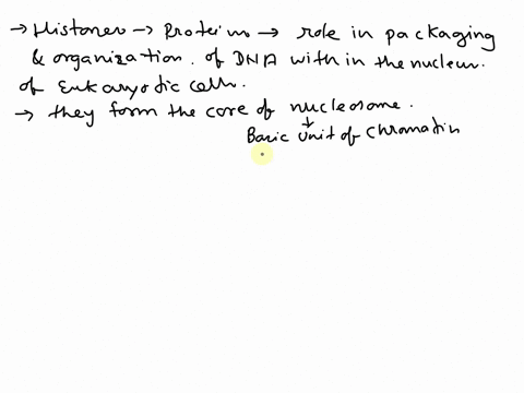 what-is-histone-what-does-it-have-to-do-with-epigenetics-45671