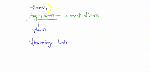 angiosperms-are-the-most-diverse-group-of-plants-in-existence-today-which-of-the-following-plant-structures-do-angiosperms-possess-that-are-not-found-in-any-earlier-lineage-of-plant-seeds-le-02242