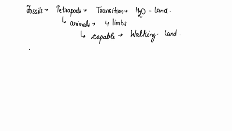 what-do-fossil-tetrapods-tell-us-about-the-transition-from-water-to-land-20318