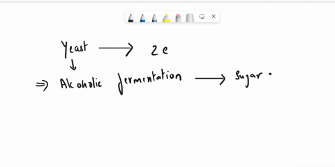 -unlike-animalsbacteria-which-produce-the-3-carbon-lactic-acid-product-yeast-cells-produce-the-2-carbon-product-pick-one-from-following-energy-in-the-form-of-glucose-energy-in-the-form-of-et-68865