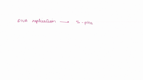 cells-pass-through-the-cell-cycle-their-volume-of-dna-alternately-halves-and-doubles-which-statement-about-dna-correctly-explains-this-pattern-dna-replication-occurs-during-all-phases-of-the-71739