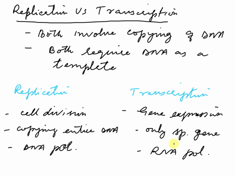 what-are-okazaki-fragments-explain-their-significance-in-replication-deseribe-the-initiation-of-dna-synthesis-the-origin-of-replication-2-discuss-the-important-similarities-and-differences-b-94006