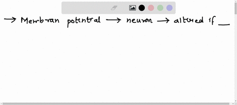 the-membrane-potential-of-a-typical-neuron-would-be-altered-if-a-the-intracellular-na-concentration-was-decreased-b-the-extracellular-k-concentration-was-increased-c-the-permeability-of-na-w-76102