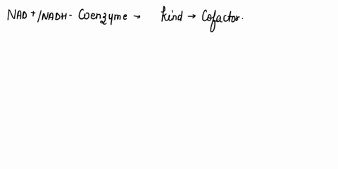 the-enzyme-alcohol-dehydrogenase-adh-carries-out-the-conversion-of-alcohol-to-acetaldehyde_-introduced-at-the-beginning-of-chapter-nad-nadh-nad-nadh-adh-aldh-chachzoh-chacho-ch3cooh-ethanol-55091