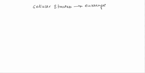 which-cellular-structure-is-present-in-eukaryotic-cells-but-not-present-in-prokaryotic-cells-00804