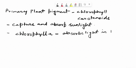 what-plant-pigments-are-involved-in-photosynthesis-63823