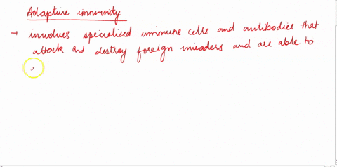 question-36-which-of-the-following-cells-arc-derived-from-the-lymphoid-ilineage-but-are-not-cells-of-the-adaptive-immunity-bcells-no-jnswer-text-providcd-tcell-ail-thiose-cell-nk-cclls-21902
