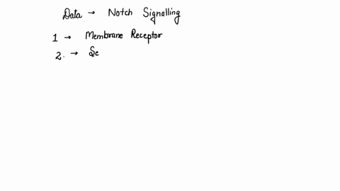 delta-is-peptide-hormone-and-notchits-receptor-upon-binding-the-notch-receptor-changes-shape-and-the-extracellular-portion-of-thereceptor-cut-off-by-protease-on-the-outside-of-the-cell-upon-13723