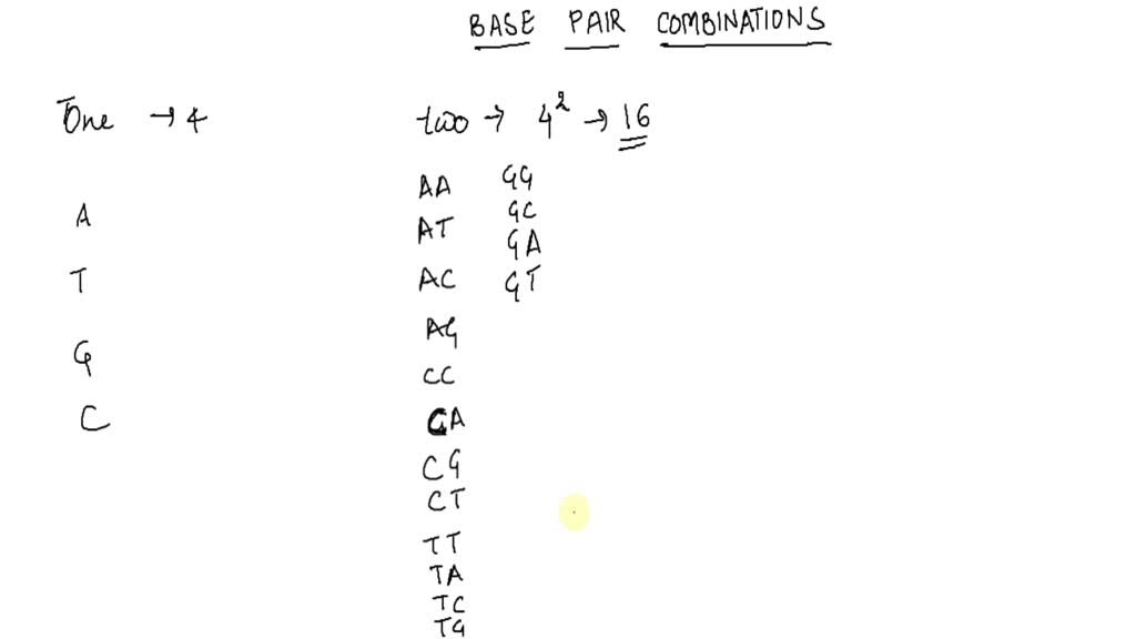 SOLVED Challenge This DNA strand consists of eight pairs of