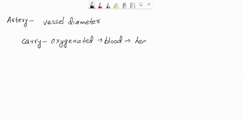 drag-each-label-into-the-appropriate-position-to-identify-whether-the-characteristic-is-indicative-of-arteries-or-veins-drag-each-label-into-the-appropriate-position-to-identify-whether-the-33632