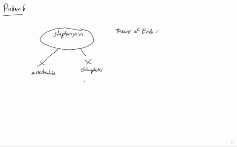 the-endosymbiont-theory-suggests-that-mitochondria-and-chloroplasts-evolved-from-ancient-bacteria-th-49946