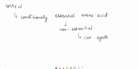 of-the-20-amino-acids-utilized-in-the-body-9-are-considered-__________-which-means-that-the-body-does-not-produce-enough-to-meet-physiological-needs-and-they-therefore-must-be-obtained-from-90492