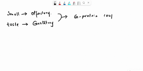 which-type-of-sensory-receptor-is-responsible-for-smell-and-taste-43675