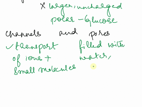 after-thorough-review-of-the-material-put-together-a-study-aid-with-key-information-for-each-term-always-describe-what-types-of-structuremolecule-are-relevant-to-each-item-what-is-its-functi-58547
