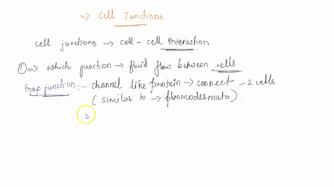 match-each-type-of-cell-attachment-with-its-description-group-of-answer-choices-strong-attachment-that-allows-iluid-t0-tlow-in-belween-cells-choose-gap-junctions-hemidesmosome-tight-junction-67792