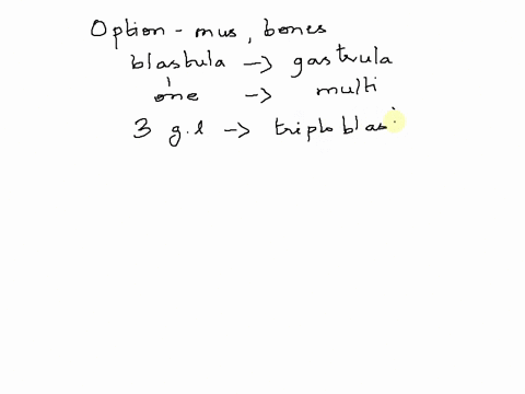 bones-and-muscles-are-derived-from-the-2poinbs-ectoderm-mesoderm-neuroectoderm-endodetm-06891
