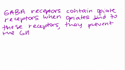 how-do-opiates-influence-dopamine-synapses-2-96363