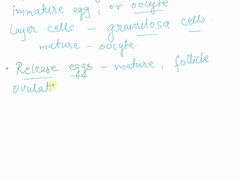 1-explain-the-function-of-the-follicles-in-the-ovaries-2-explain-the-function-of-the-seminiferous-tubules-24211