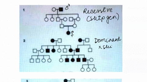 four-human-pedlgrc-uc-shown-in-chc-accompanying-ilustration-thc-black-symbols-rcprescnt-an-abnormal-phenotype-inheritcd-in-simple-mcndelian-manner-6600-oto-d0o6-for-cach-pedigrcc-atntc-hetne-20853