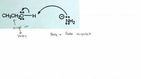 which-of-the-following-terms-describes-the-role-of-ethanol-in-the-acid-base-reaction-shown-chchz-0-nh-lewis-base-bronsted-lowry-base-bronsted-lowry-acid-lewis-acid-27847
