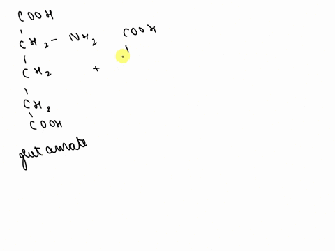 an-amino-acid-reacts-with-oxaloacetate-to-form-alpha-ketoglutarate-and-aspartate-find-the-amino-acid-select-the-correct-answer-below-arginine-aspartate-tyrosine-mysin-91843