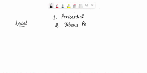 correctly-labcl-the-following-parts-of-the-pericardium-and-the-heart-walls-park-ial-pleura-pencaidia-sac-serous-iayer-visceral-peura-enjocardium-mnocardium-pleural-cavty-epicardlum-95525