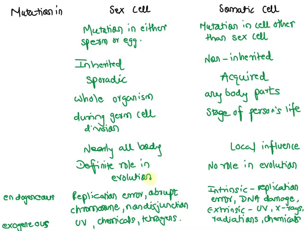 explain the difference between mutations in sex cells and those in somatic  cells.