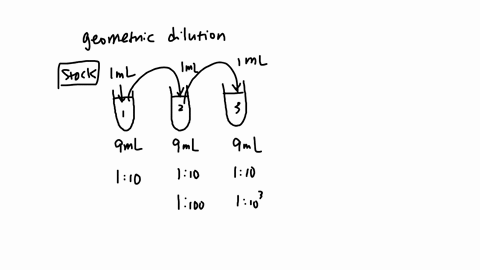 2-discuss-the-process-or-steps-of-geometric-dilution-3-when-is-geometric-dilution-applied-in-the-preparation-of-powders
