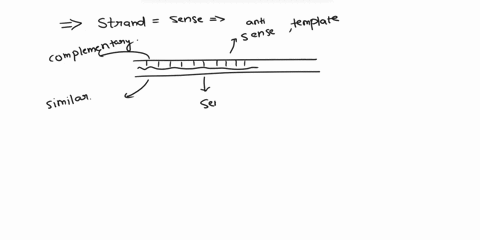 the-coding-sense-strand-on-the-dna-molecule-coding-for-three-codons-of-a-gene-is-5-tatcgcacg-3-what-is-its-corresponding-mrna-codon-sequence-question-options-1-uau-cgc-and-acg-2-ata-gcg-and-79055