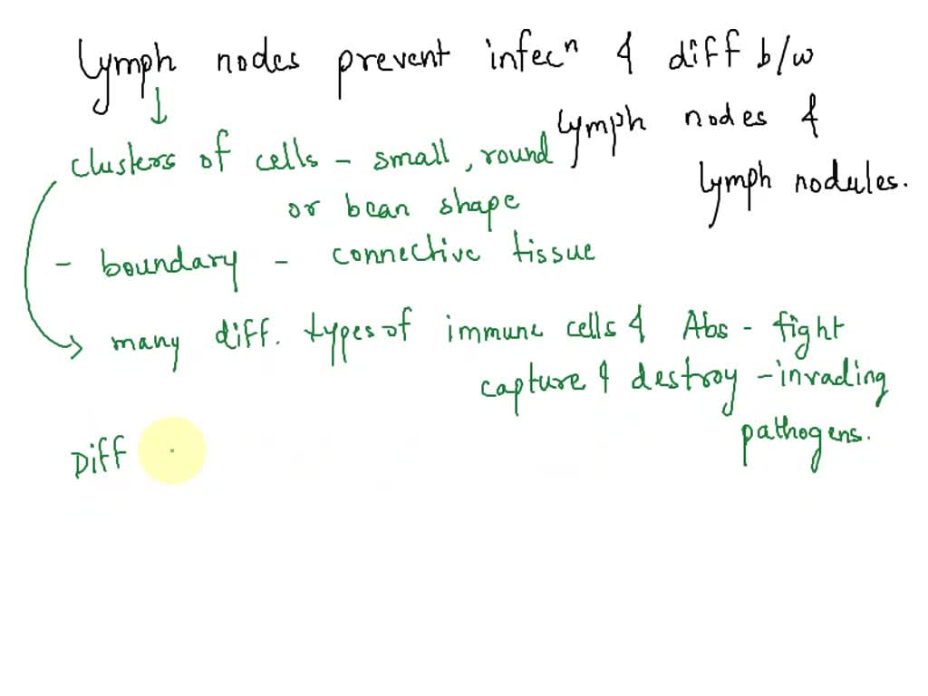 solved-1-a-nurse-palpated-enlarged-lymph-nodes-describe-signs-and