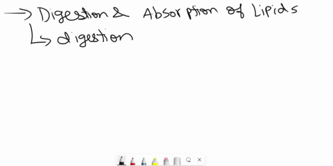 question-38-pts-digestion-and-absorption-of-which-of-the-following-would-be-affected-the-most-it-the-iiver-were-severcly-damaged-starches-protein-hplds-orbohr-drates-53738