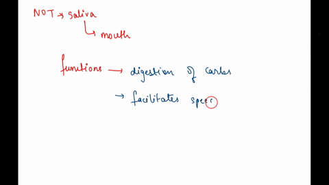 which-of-the-following-is-not-a-function-of-saliva-a-begins-digestion-of-carbohydrate-b-facilitates-60256