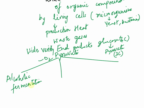 describe-the-three-3-fermentation-processes-and-discuss-their-role-in-industry-71824