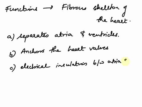 28-which-are-functions-performed-by-the-fibrous-skeleton-of-the-heart-aseparates-the-atria-and-ventricles-banchors-the-heart-valves-c-provides-electrical-insulation-between-the-atria-and-ven-96825