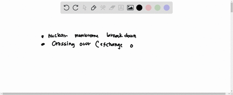 question4-krus-during-which-stage-of-meiosis-would-you-expect-to-see-nuclear-membranel-breakdown-and-crossing-over-between-nonsister-chromatids-of-homologous-chromosomes-zygotene-substage-of-89169