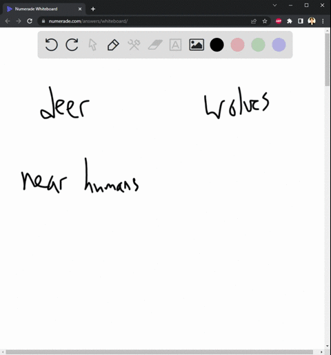 an-ecosystem-in-venison-forest-includes-both-deer-and-wolves-the-deer-tend-to-be-most-successful-living-on-the-edge-of-the-forest-near-human-developments-the-wolves-on-the-other-hand-need-la-69117