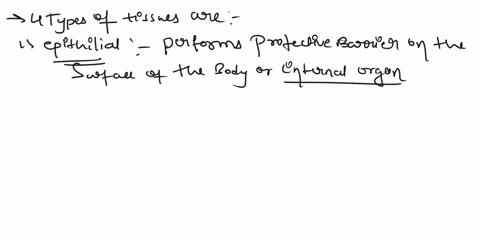 describe-the-various-cell-types-not-membranes-for-each-of-the-4-types-of-tissues-include-their-location-how-they-function-in-the-body-and-any-other-identifying-characteristics-such-as-their-16055