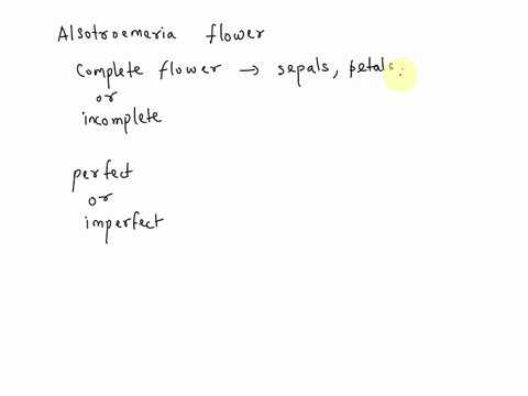 is-an-alstroemeria-flower-complete-or-incomplete-perfect-or-imperfect-58958