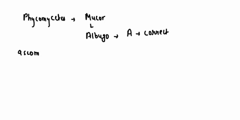 which-one-is-incorrectly-matched-pair-a-phycomycetes-mucor-albugo-b-ascomycetes-penicillium-aspergillus-c-basidiomycetes-puccinia-agaricus-d-deuteromycetes-ustilago-colletotrichum-89168