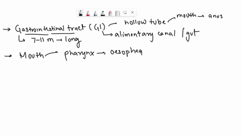discuss-the-anatomy-and-physiology-of-the-gastrointestinal-tract-including-the-process-of-peristalsis-44344