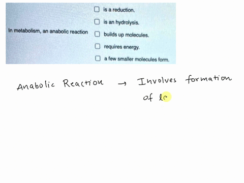 part-a-which-of-the-following-could-be-used-to-identify-an-anabolic-reaction-check-all-that-apply-is-a-reduction-is-an-hydrolysis-in-metabolism-an-anabolic-reaction-builds-up-molecules-requi-53848