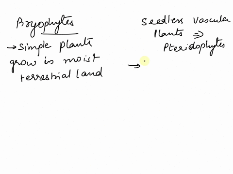 compare-and-contrast-the-role-of-the-gametophyte-in-bryophytes-and-seedless-vascular-plants-13849
