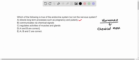 which-of-the-following-is-true-of-the-endocrine-system-but-not-the-nervous-system-a-directs-long-term-processes-such-as-pregnancy-and-puberty-b-communicates-via-chemical-signals-c-regulates-89556