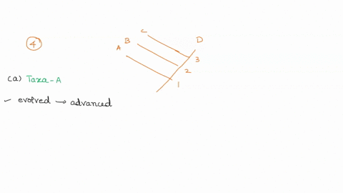 using-the-phylogenic-tree-below-which-terminal-taxa-on-this-tree-evolved-first-explain-which-node-represents-the-most-recent-common-ancestor-of-terminal-taxa-b-and-which-node-represents-the-24615