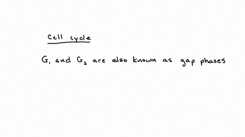 complete-the-following-passage-regarding-cell-division-from-the-dropdowe-meties-the-g_1-and-g_2-phases-are-also-known-as-qquad-during-g_1-and-g_2-the-cell-increases-in-both-size-and-protein-content-th