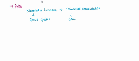 what-are-the-three-rules-for-writing-scientific-names-45068