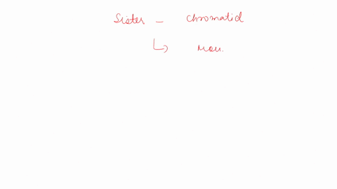 which-stage-of-mitosis-starts-as-sister-chromatids-split-apart-and-begin-to-move-toward-opposite-poles-select-one-prophase-prometaphase-metaphase-anaphase-83824